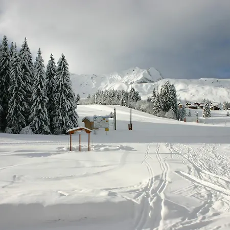 Au Praz De Lys, Proche Pistes - Fr-1-815-38 Appartement *