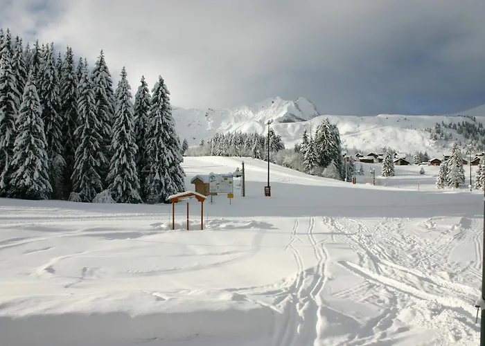 Au Praz De Lys, Proche Pistes - Fr-1-815-38 Appartement *